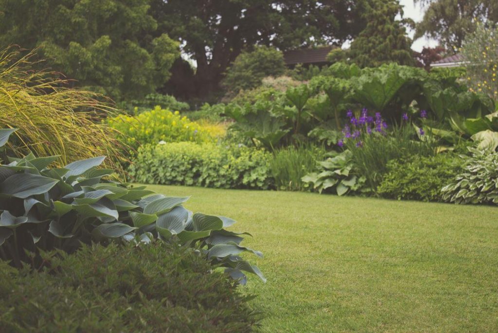 landscape backyard