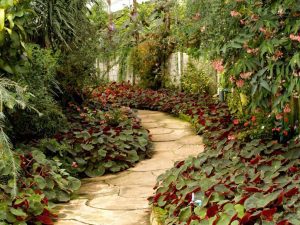 outdoor garden pathway